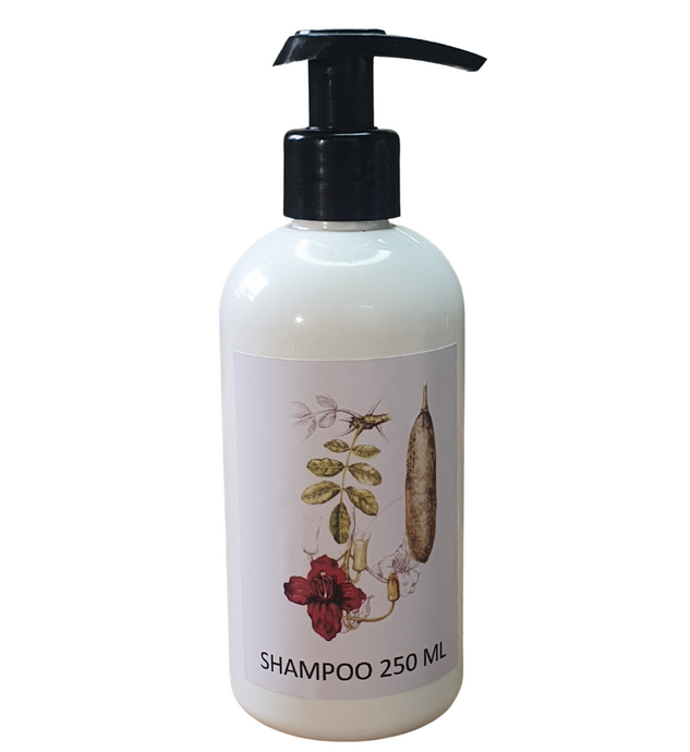 Hospitality - Premium Botanical shampoo 250mls