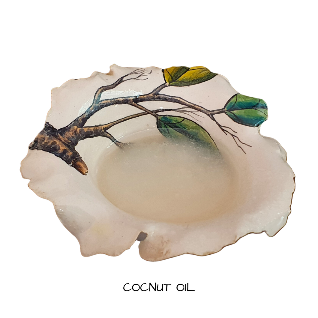 Coconut Oil  Refined  250 mls