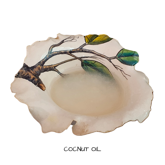 Coconut Oil  Refined  500 mls