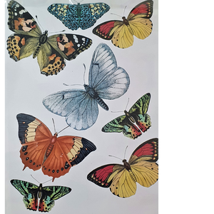 Decoupage Paper  Butterflies 1 - 4 sheets