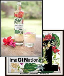 ImaGINation  - Hibiscus Rose 500 mls