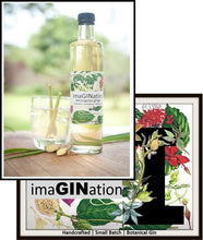 ImaGINation  - Lemongrass Ginger 500 mls