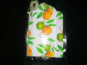Gift Tags - Citrus (Medium) Pack of 6